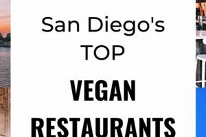 Top Fancy Vegan Restaurants San Diego: Guide & Tips | Discover Delicious Vegan Food, Beauty Swaps, and Zero-Waste Tips for a Greener Life