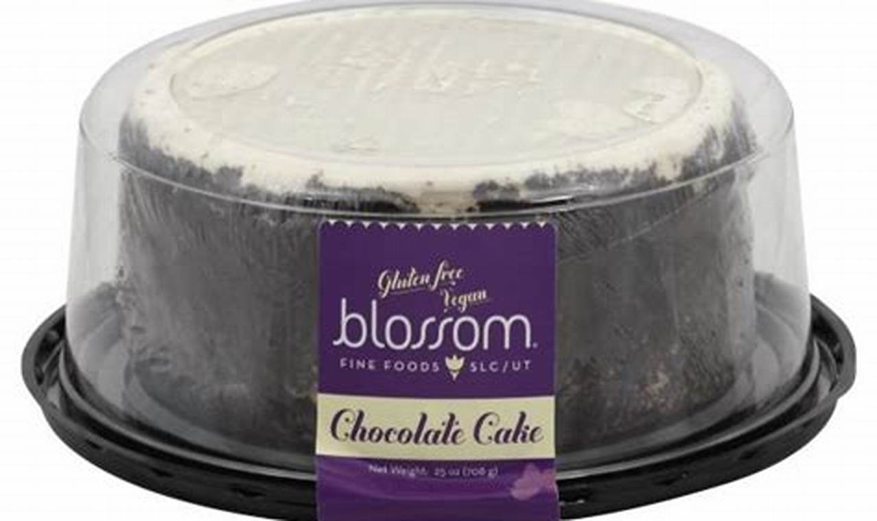 Best Publix Vegan Cake: Delicious &amp; Guilt-Free! | Discover Delicious Vegan Food, Beauty Swaps, and Zero-Waste Tips for a Greener Life