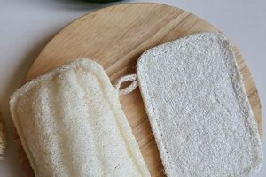 Is Loofah Vegan? Your Guide to Cruelty-Free Scrubbing Discover Delicious Vegan Food, Beauty Swaps, and Zero-Waste Tips for a Greener Life Is Loofah Vegan? Your Guide to Cruelty-Free Scrubbing | Discover Delicious Vegan Food, Beauty Swaps, and Zero-Waste Tips for a Greener Life
