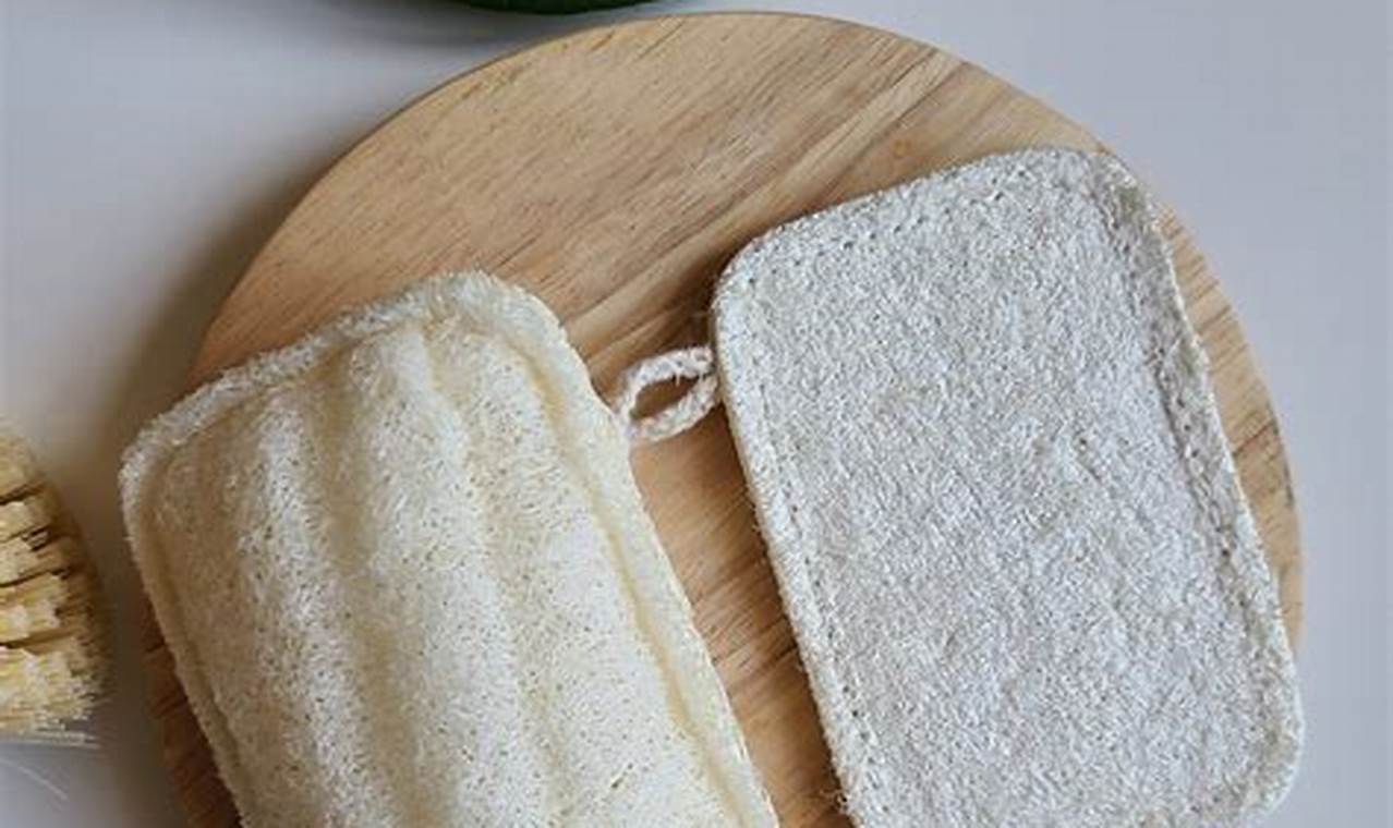 Is Loofah Vegan? Your Guide to Cruelty-Free Scrubbing Discover Delicious Vegan Food, Beauty Swaps, and Zero-Waste Tips for a Greener Life Is Loofah Vegan? Your Guide to Cruelty-Free Scrubbing | Discover Delicious Vegan Food, Beauty Swaps, and Zero-Waste Tips for a Greener Life