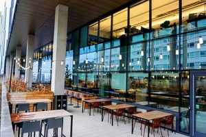 Redmond Vegan Restaurants: Your Plant-Based Guide Discover Delicious Vegan Food, Beauty Swaps, and Zero-Waste Tips for a Greener Life Redmond Vegan Restaurants: Your Plant-Based Guide | Discover Delicious Vegan Food, Beauty Swaps, and Zero-Waste Tips for a Greener Life