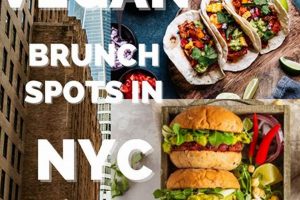 Top Best Vegan Brunch NYC Spots in 2024 | Discover Delicious Vegan Food, Beauty Swaps, and Zero-Waste Tips for a Greener Life