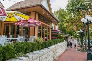 Best Vegan Restaurants in Bloomington, IN: A Complete Guide | Discover Delicious Vegan Food, Beauty Swaps, and Zero-Waste Tips for a Greener Life