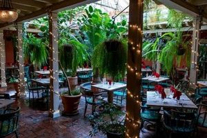 Guide to Vegan Restaurants in Las Cruces, NM: Best Eats! Discover Delicious Vegan Food, Beauty Swaps, and Zero-Waste Tips for a Greener Life Guide to Vegan Restaurants in Las Cruces, NM: Best Eats! | Discover Delicious Vegan Food, Beauty Swaps, and Zero-Waste Tips for a Greener Life