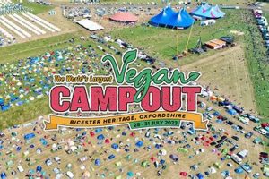 Discover: Camp Vegan Adventures for Plant-Based Living Discover Delicious Vegan Food, Beauty Swaps, and Zero-Waste Tips for a Greener Life Discover: Camp Vegan Adventures for Plant-Based Living | Discover Delicious Vegan Food, Beauty Swaps, and Zero-Waste Tips for a Greener Life