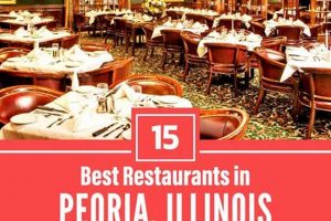 Best Vegan Restaurants Peoria IL: Your Guide to Plant-Based Eats | Discover Delicious Vegan Food, Beauty Swaps, and Zero-Waste Tips for a Greener Life
