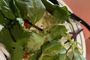 Best Vegan Restaurant St Paul Guide [Year] | Discover Delicious Vegan Food, Beauty Swaps, and Zero-Waste Tips for a Greener Life