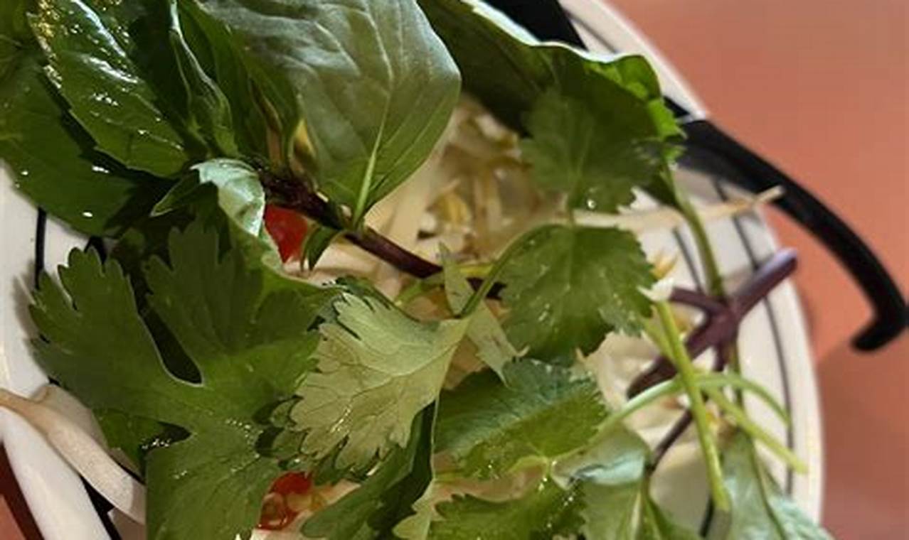 Best Vegan Restaurant St Paul Guide [Year] | Discover Delicious Vegan Food, Beauty Swaps, and Zero-Waste Tips for a Greener Life