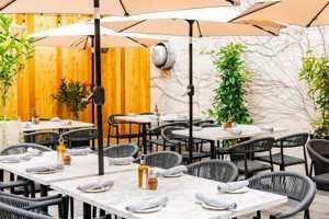 Your Guide to Vegan Restaurants in West Chester, PA | Discover Delicious Vegan Food, Beauty Swaps, and Zero-Waste Tips for a Greener Life