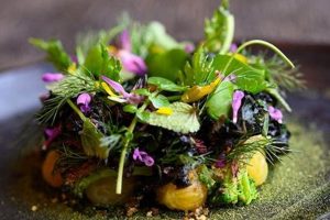 NYC's Best: Vegan Restaurant Michelin Star Guide | Discover Delicious Vegan Food, Beauty Swaps, and Zero-Waste Tips for a Greener Life