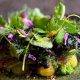 NYC's Best: Vegan Restaurant Michelin Star Guide | Discover Delicious Vegan Food, Beauty Swaps, and Zero-Waste Tips for a Greener Life
