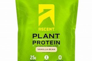 Boost Gains with Ascent Vegan Protein: Fuel Your Muscles! Discover Delicious Vegan Food, Beauty Swaps, and Zero-Waste Tips for a Greener Life Boost Gains with Ascent Vegan Protein: Fuel Your Muscles! | Discover Delicious Vegan Food, Beauty Swaps, and Zero-Waste Tips for a Greener Life