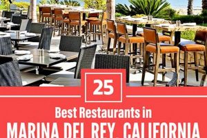 Find: Vegan Restaurants in Marina Del Rey - Best Options | Discover Delicious Vegan Food, Beauty Swaps, and Zero-Waste Tips for a Greener Life