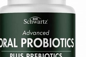 Best Vegan Probiotics: Gut Health the Plant-Based Way Discover Delicious Vegan Food, Beauty Swaps, and Zero-Waste Tips for a Greener Life Best Vegan Probiotics: Gut Health the Plant-Based Way | Discover Delicious Vegan Food, Beauty Swaps, and Zero-Waste Tips for a Greener Life