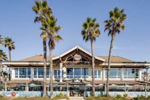 Best Vegan Restaurants in Huntington Beach, CA: Your Guide Discover Delicious Vegan Food, Beauty Swaps, and Zero-Waste Tips for a Greener Life Best Vegan Restaurants in Huntington Beach, CA: Your Guide | Discover Delicious Vegan Food, Beauty Swaps, and Zero-Waste Tips for a Greener Life