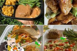 Your Guide to Vegan Food Jacksonville Scene Discover Delicious Vegan Food, Beauty Swaps, and Zero-Waste Tips for a Greener Life Your Guide to Vegan Food Jacksonville Scene | Discover Delicious Vegan Food, Beauty Swaps, and Zero-Waste Tips for a Greener Life