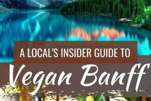 Find: Vegan Restaurants Banff (Your Guide!) | Discover Delicious Vegan Food, Beauty Swaps, and Zero-Waste Tips for a Greener Life