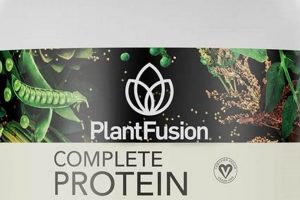 Best Vegan Protein Powder Near Me: Fuel Your Body! | Discover Delicious Vegan Food, Beauty Swaps, and Zero-Waste Tips for a Greener Life