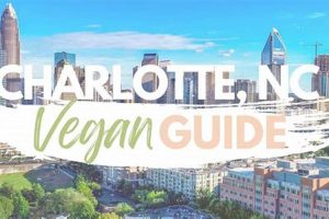 Best Vegan Restaurants in Charlotte, NC: The Ultimate Guide Discover Delicious Vegan Food, Beauty Swaps, and Zero-Waste Tips for a Greener Life Best Vegan Restaurants in Charlotte, NC: The Ultimate Guide | Discover Delicious Vegan Food, Beauty Swaps, and Zero-Waste Tips for a Greener Life