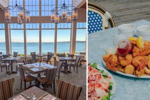 Best Cape Cod Vegan Restaurants: Guide & Map Discover Delicious Vegan Food, Beauty Swaps, and Zero-Waste Tips for a Greener Life Best Cape Cod Vegan Restaurants: Guide & Map | Discover Delicious Vegan Food, Beauty Swaps, and Zero-Waste Tips for a Greener Life