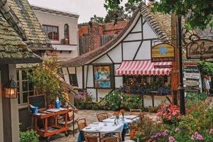 Best Carmel-by-the-Sea Vegan Restaurants: Guide + More! | Discover Delicious Vegan Food, Beauty Swaps, and Zero-Waste Tips for a Greener Life