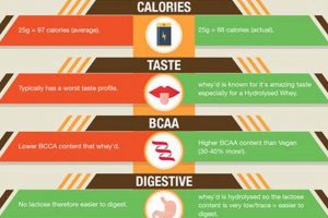 Vegan vs Whey Protein: Which Protein Is Best? | Discover Delicious Vegan Food, Beauty Swaps, and Zero-Waste Tips for a Greener Life