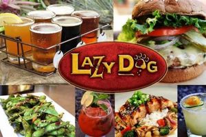 Your Guide to Vegan Options at Lazy Dog Restaurant (2024) Discover Delicious Vegan Food, Beauty Swaps, and Zero-Waste Tips for a Greener Life Your Guide to Vegan Options at Lazy Dog Restaurant (2024) | Discover Delicious Vegan Food, Beauty Swaps, and Zero-Waste Tips for a Greener Life