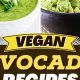 Delicious Vegan Recipes with Avocado: Easy &amp; Healthy! | Discover Delicious Vegan Food, Beauty Swaps, and Zero-Waste Tips for a Greener Life