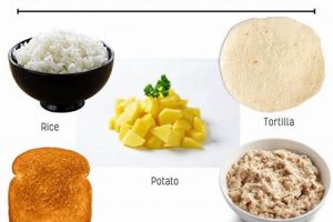 Fuel Up: High Protein Vegan Indian Breakfast Recipes Discover Delicious Vegan Food, Beauty Swaps, and Zero-Waste Tips for a Greener Life Fuel Up: High Protein Vegan Indian Breakfast Recipes | Discover Delicious Vegan Food, Beauty Swaps, and Zero-Waste Tips for a Greener Life