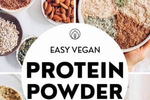 Best Homemade Vegan Protein Powder Recipe: Boost Your Protein! | Discover Delicious Vegan Food, Beauty Swaps, and Zero-Waste Tips for a Greener Life