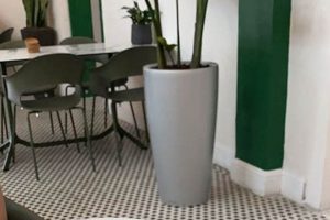 Best Vegan Restaurants in San Juan, Puerto Rico: Guide | Discover Delicious Vegan Food, Beauty Swaps, and Zero-Waste Tips for a Greener Life