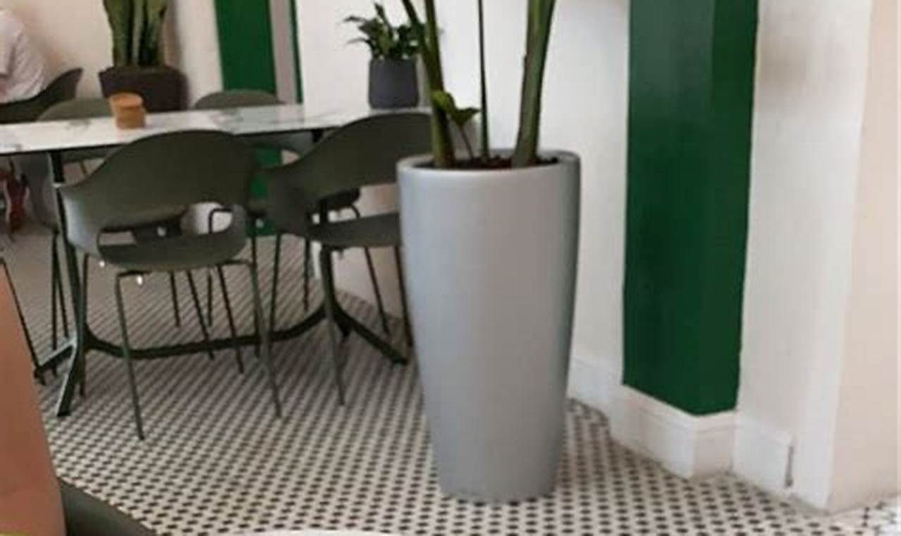 Best Vegan Restaurants in San Juan, Puerto Rico: Guide Discover Delicious Vegan Food, Beauty Swaps, and Zero-Waste Tips for a Greener Life Best Vegan Restaurants in San Juan, Puerto Rico: Guide | Discover Delicious Vegan Food, Beauty Swaps, and Zero-Waste Tips for a Greener Life