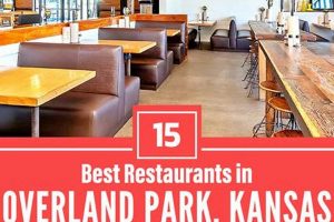Guide to Vegan Restaurants in Overland Park, KS Near Me Discover Delicious Vegan Food, Beauty Swaps, and Zero-Waste Tips for a Greener Life Guide to Vegan Restaurants in Overland Park, KS Near Me | Discover Delicious Vegan Food, Beauty Swaps, and Zero-Waste Tips for a Greener Life