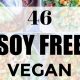 Delicious Vegan and Soy Free Recipes: Simple & Easy! | Discover Delicious Vegan Food, Beauty Swaps, and Zero-Waste Tips for a Greener Life
