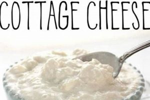 Easy Vegan Cheese: Where to Buy Vegan Cottage Cheese Now! | Discover Delicious Vegan Food, Beauty Swaps, and Zero-Waste Tips for a Greener Life
