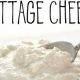 Easy Vegan Cheese: Where to Buy Vegan Cottage Cheese Now! | Discover Delicious Vegan Food, Beauty Swaps, and Zero-Waste Tips for a Greener Life