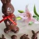 Best Vegan Chocolate Rabbit for Easter [Plant-Based] | Discover Delicious Vegan Food, Beauty Swaps, and Zero-Waste Tips for a Greener Life