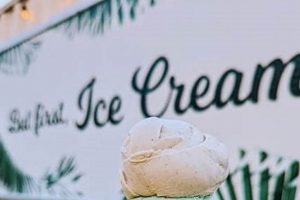 Cool Guide: Nashville Vegan Ice Cream Near Me (2024) | Discover Delicious Vegan Food, Beauty Swaps, and Zero-Waste Tips for a Greener Life