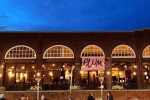 Durham's Best Vegan Restaurants: NC Plant-Based Eats | Discover Delicious Vegan Food, Beauty Swaps, and Zero-Waste Tips for a Greener Life