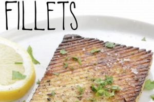 The Future: Delicious Vegan Seafood Options Today! Discover Delicious Vegan Food, Beauty Swaps, and Zero-Waste Tips for a Greener Life The Future: Delicious Vegan Seafood Options Today! | Discover Delicious Vegan Food, Beauty Swaps, and Zero-Waste Tips for a Greener Life