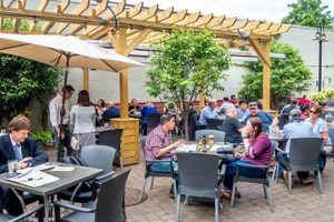 Saratoga Springs Vegan Restaurants: Your Plant-Based Guide | Discover Delicious Vegan Food, Beauty Swaps, and Zero-Waste Tips for a Greener Life