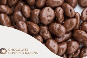 The Best Vegan Chocolate Raisins: A Delicious Treat | Discover Delicious Vegan Food, Beauty Swaps, and Zero-Waste Tips for a Greener Life