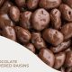The Best Vegan Chocolate Raisins: A Delicious Treat | Discover Delicious Vegan Food, Beauty Swaps, and Zero-Waste Tips for a Greener Life