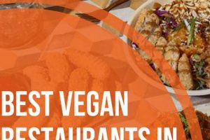 Best Albany Vegan Restaurants: Your Local Guide! | Discover Delicious Vegan Food, Beauty Swaps, and Zero-Waste Tips for a Greener Life