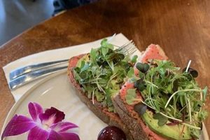 Bellevue Vegan Food Guide: Best Plant-Based Eats Near You Discover Delicious Vegan Food, Beauty Swaps, and Zero-Waste Tips for a Greener Life Bellevue Vegan Food Guide: Best Plant-Based Eats Near You | Discover Delicious Vegan Food, Beauty Swaps, and Zero-Waste Tips for a Greener Life
