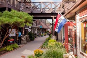 Find Your Best Vegan Food in New Paltz, NY | Discover Delicious Vegan Food, Beauty Swaps, and Zero-Waste Tips for a Greener Life