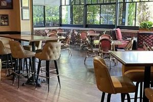 Your Guide: Vegan Restaurants in High Point, NC - Best Spots! Discover Delicious Vegan Food, Beauty Swaps, and Zero-Waste Tips for a Greener Life Your Guide: Vegan Restaurants in High Point, NC - Best Spots! | Discover Delicious Vegan Food, Beauty Swaps, and Zero-Waste Tips for a Greener Life