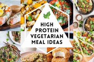 Power Up: Vegan Protein Dishes for Muscle & Health | Discover Delicious Vegan Food, Beauty Swaps, and Zero-Waste Tips for a Greener Life