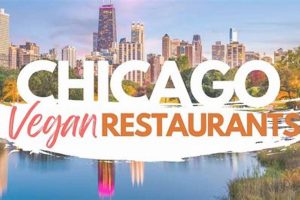 Best Vegan Friendly Restaurants in Chicago (Guide) | Discover Delicious Vegan Food, Beauty Swaps, and Zero-Waste Tips for a Greener Life