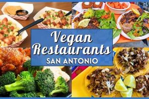 The Best: Vegan Restaurants in San Antonio, TX Guide Discover Delicious Vegan Food, Beauty Swaps, and Zero-Waste Tips for a Greener Life The Best: Vegan Restaurants in San Antonio, TX Guide | Discover Delicious Vegan Food, Beauty Swaps, and Zero-Waste Tips for a Greener Life